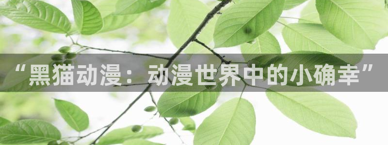 火狼动漫官网在线观看 免费：“黑猫动漫：动漫世界中的小确幸”